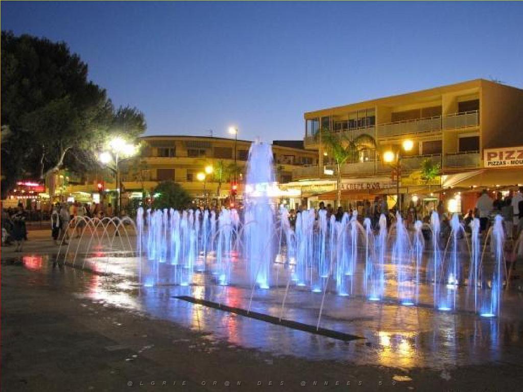 183 D25 BORMES LES MIMOSAS 3_000009.jpg